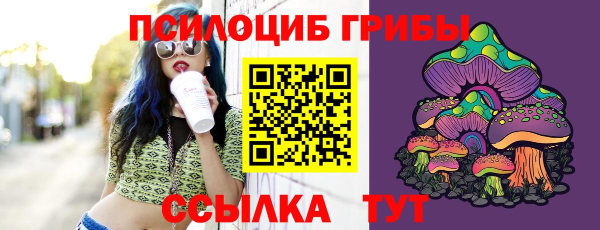 Галлюциногенные грибы Psilocybine cubensis  Вход с VPN  Ухта 